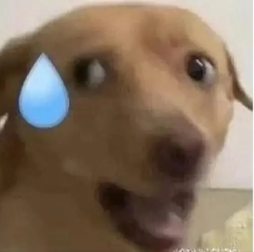 两年内放弃中国零件 特斯拉做得到吗