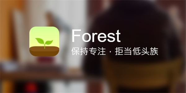 forest专注森林专业版 forest专注森林专业版